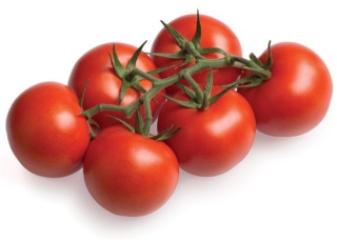 tomato